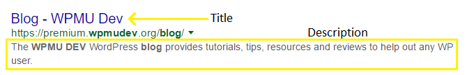 A screenshot of the WPMU DEV Blog appearing in Google search results.