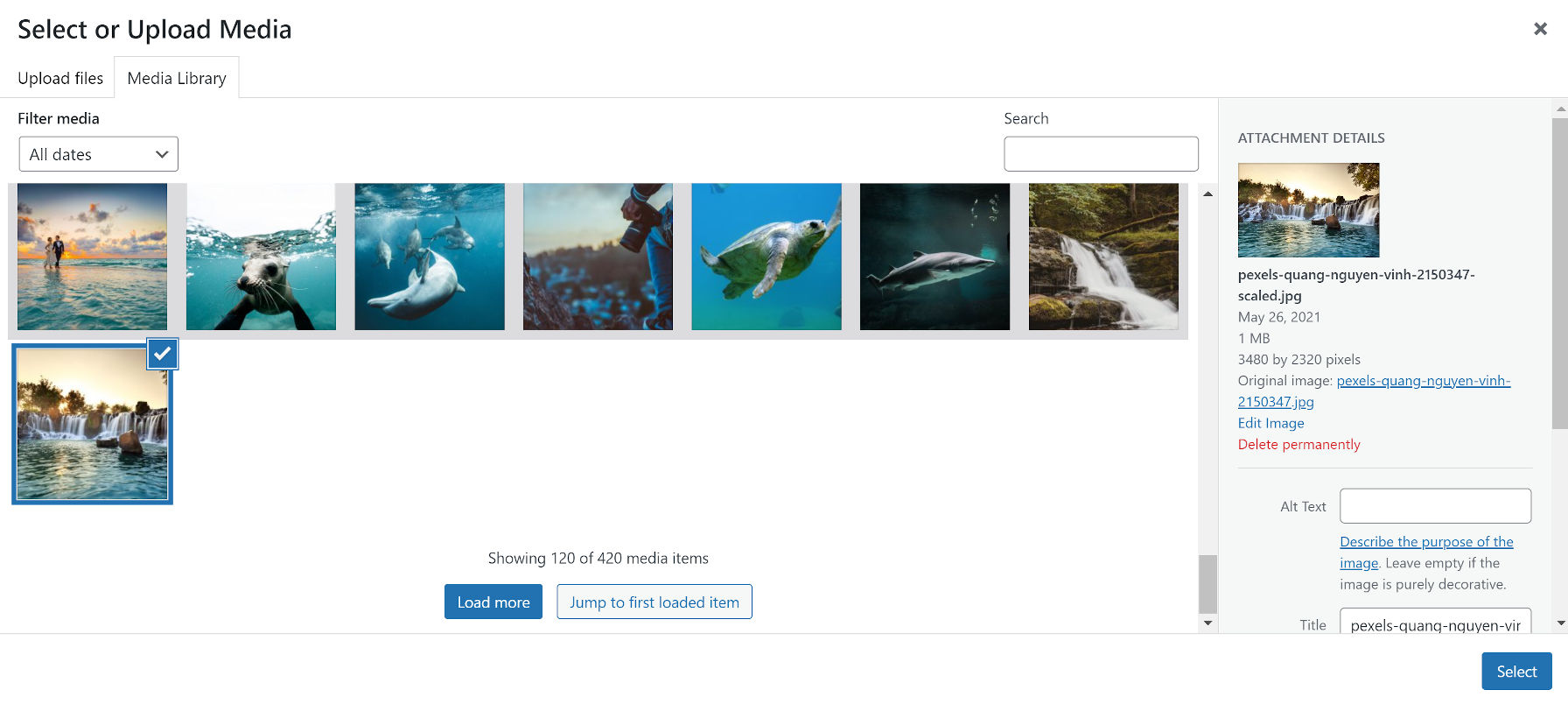 WordPress 5.8 Media Library Changes You Should Know About | BytePlate Brand